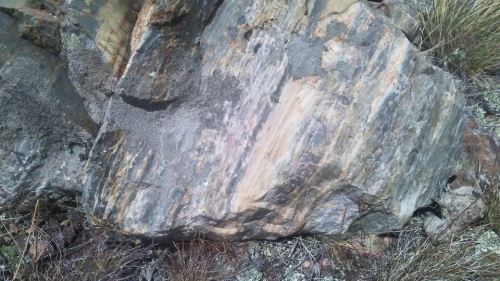 Гигантские зелёные валуны для ландшафтного дизайна весом более 5 тонн купить в Белебее